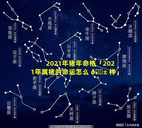 2021年猪年命格「2021年属猪的命运怎么 🐱 样」